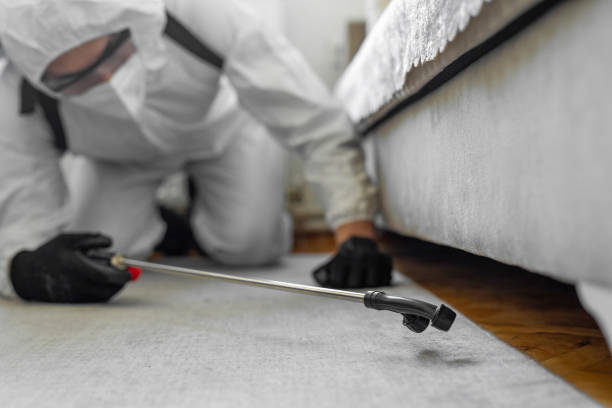 Professional Cockroach Control technician working in Akron, NY