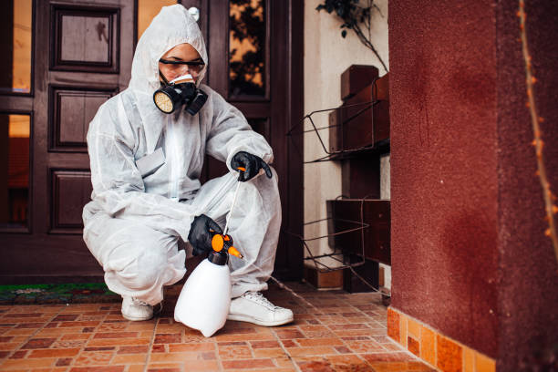 Reliable Cockroach Control contractor in Akron, NY by Nex Pest Control
